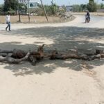 164043364_169284411703730_1012500754984386776_n