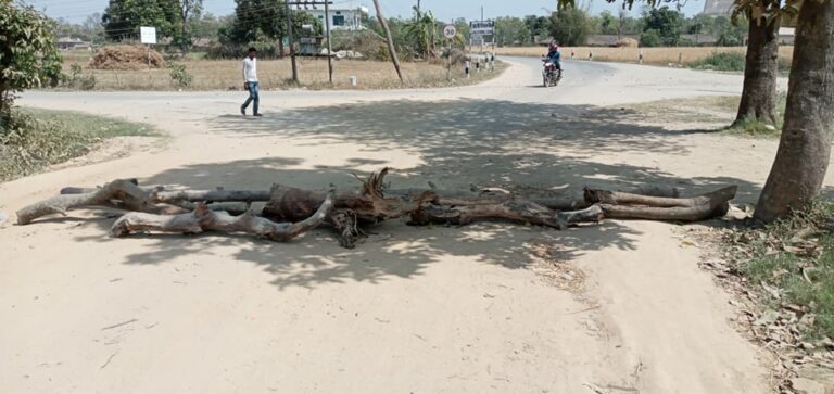 164043364_169284411703730_1012500754984386776_n