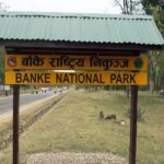banke-national-park2021-03-25-06-21-10
