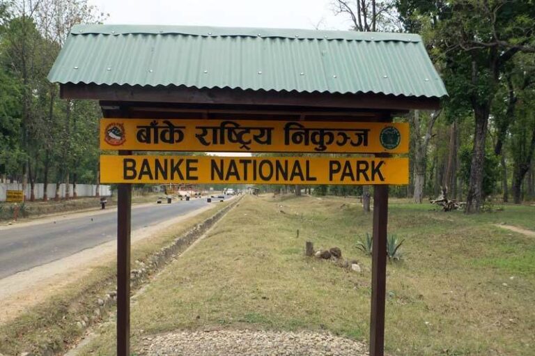 banke-national-park2021-03-25-06-21-10