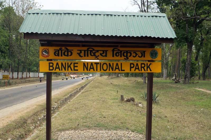 banke-national-park2021-03-25-06-21-10