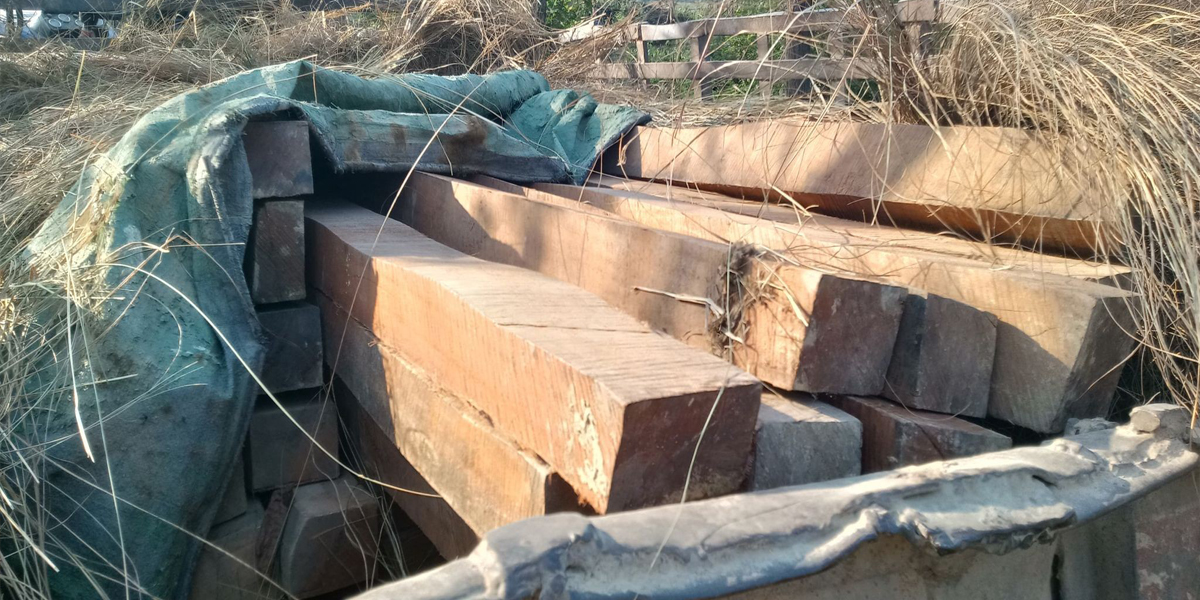 kat-taskari-pt2021-03-01-01-53-42