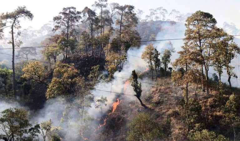 168527537_723908708290857_622875757732761893_n