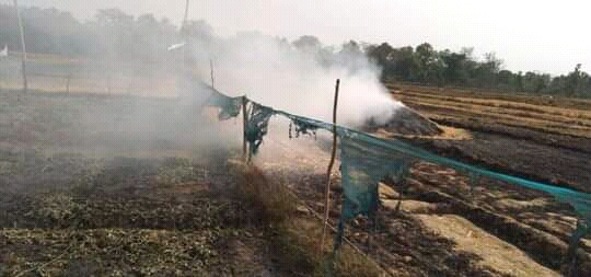 FB_IMG_16189356070808177