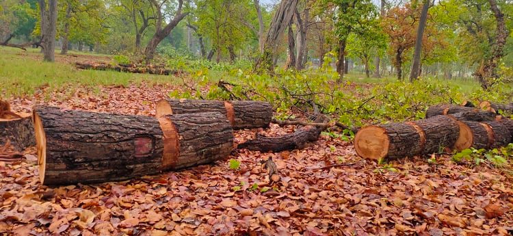 185147534_321038939421497_1235705125513220466_n