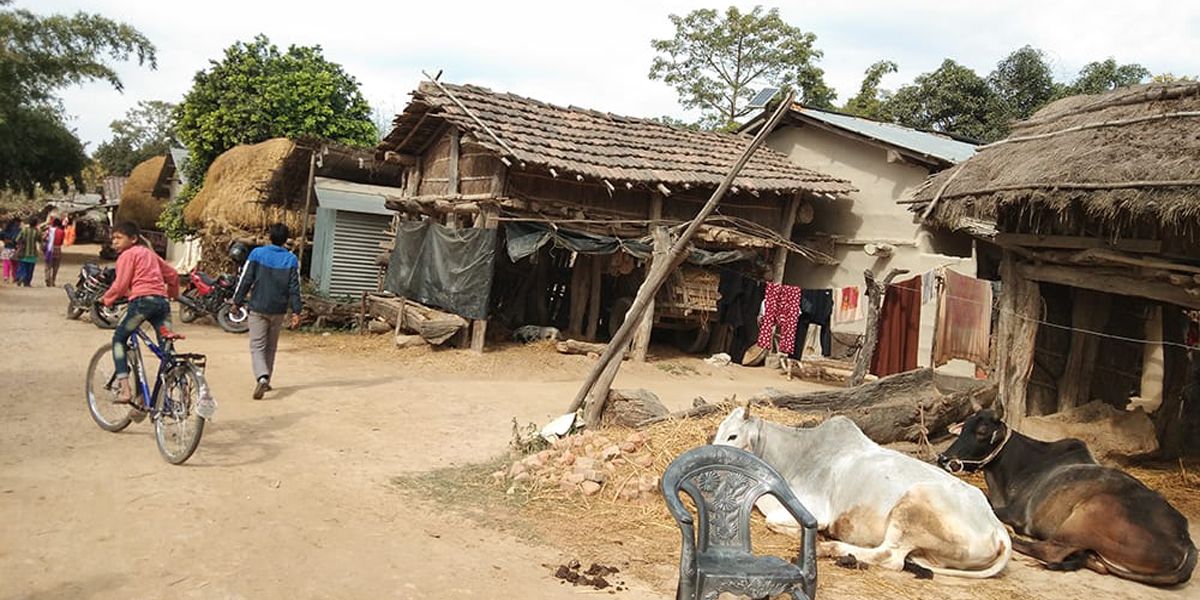 kailalri2021-05-29-11-14-44