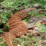 llll2021-05-21-12-29-43