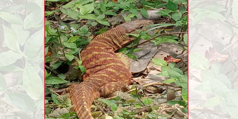 llll2021-05-21-12-29-43