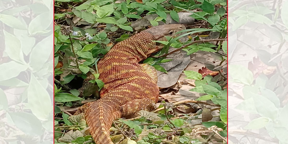 llll2021-05-21-12-29-43