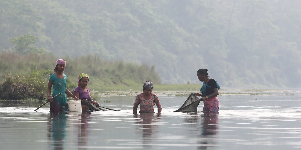 34139302651_90a29e8c37_b