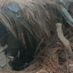 ttttt2021-07-10-02-30-24