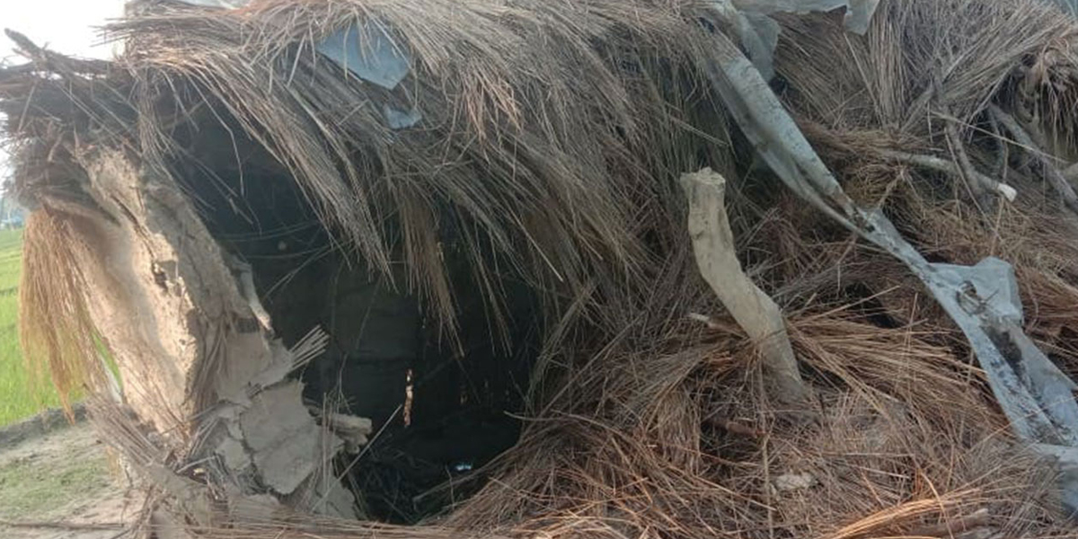 ttttt2021-07-10-02-30-24