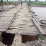 239160541_383338833314441_9207493697051179606_n