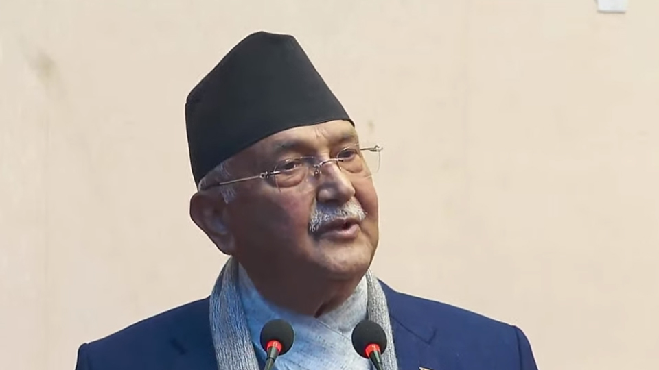 KP_Oli_2_