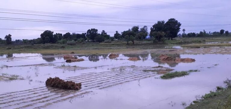 245946375_260131579241663_4154936626639052013_n