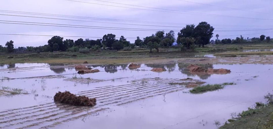 245946375_260131579241663_4154936626639052013_n