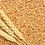 610qCoSrIjL._AC_SY1000_FMwebp_