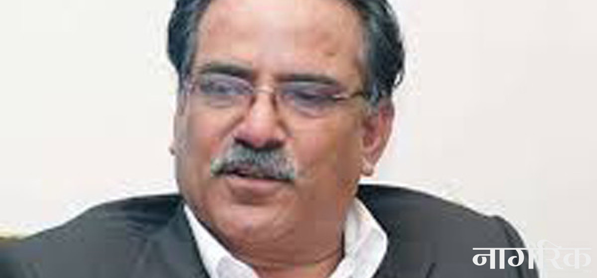 pachanda-1200x560-wm