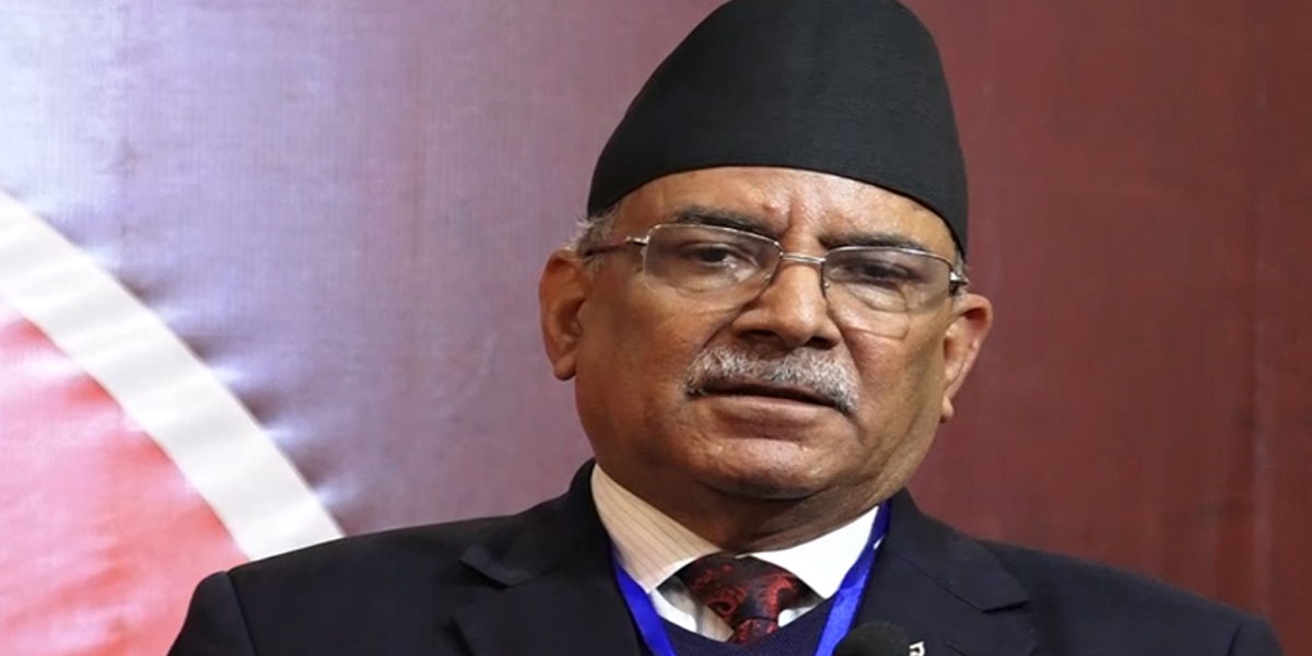 dahal2021-12-12-03-36-59