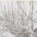 Screenshot_20220109-084133_Facebook