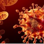 Screenshot_20220417-154218_Facebook