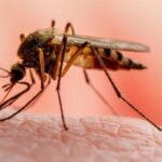 Screenshot_20220425-132552_Facebook