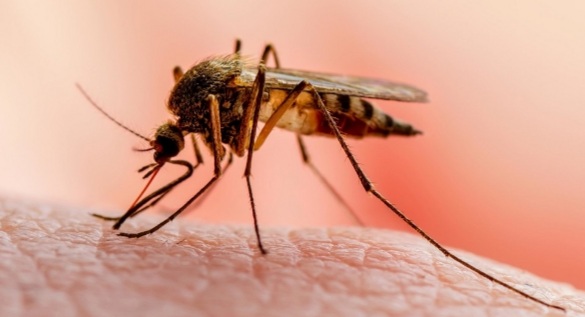 Screenshot_20220425-132552_Facebook