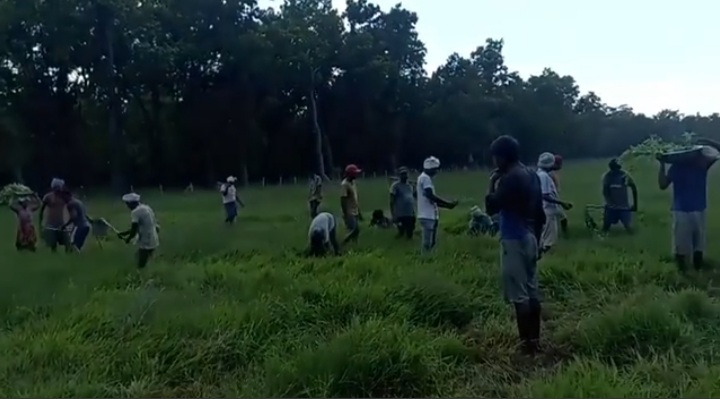 Screenshot_20220717-231032_Facebook