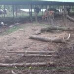 Screenshot_20220816-115802_Facebook