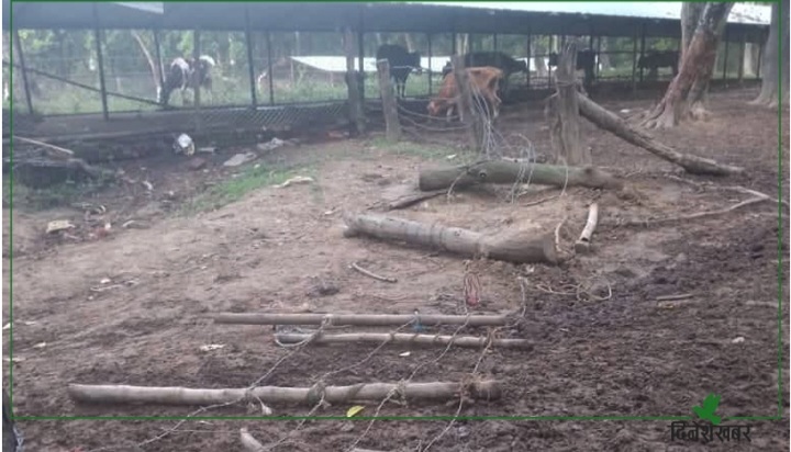 Screenshot_20220816-115802_Facebook