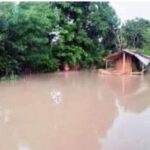 Screenshot_20220901-120407_Facebook