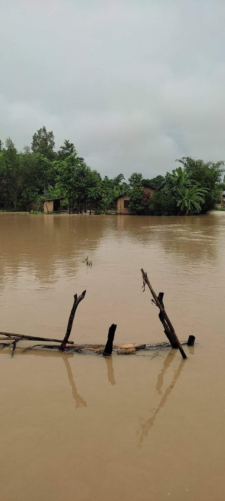 FB_IMG_1662098244265