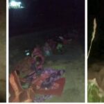 Screenshot_20221109-063351_Facebook