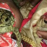 Screenshot_20240617-140937_Facebook