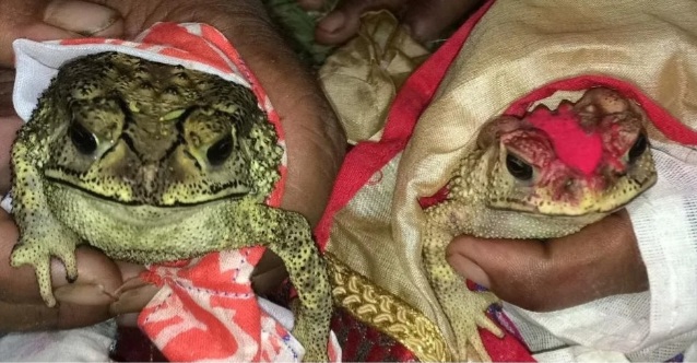 Screenshot_20240617-140937_Facebook