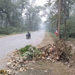 Baghbhalubata-jogina-1024x577