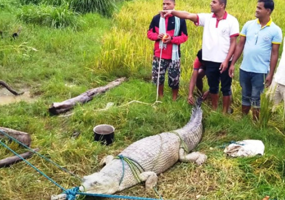 Screenshot 2025-03-16 103559