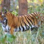 Screenshot 2025-06-28 200801