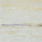 Screenshot_2025-06-25-07-56-42-689_com.facebook.katana-edit